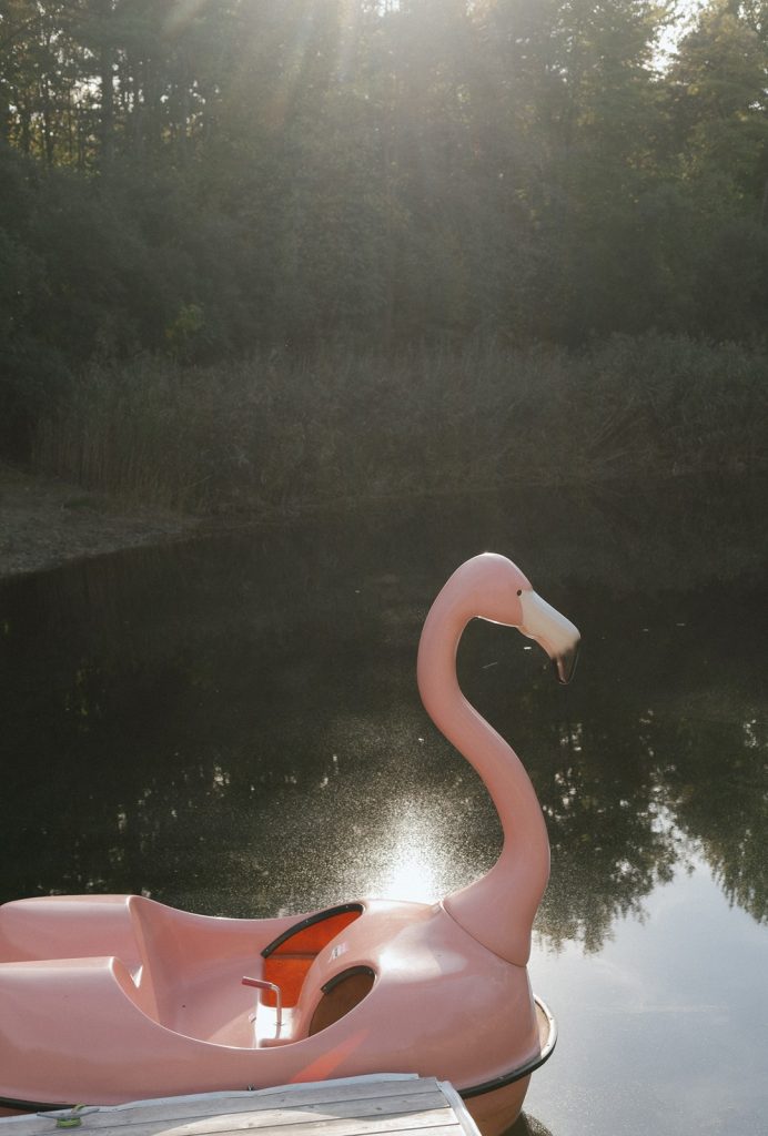 A flamingo paddle boat on the water in Saugatuck, Michigan, highlighting vacation rental experiences and travel activities